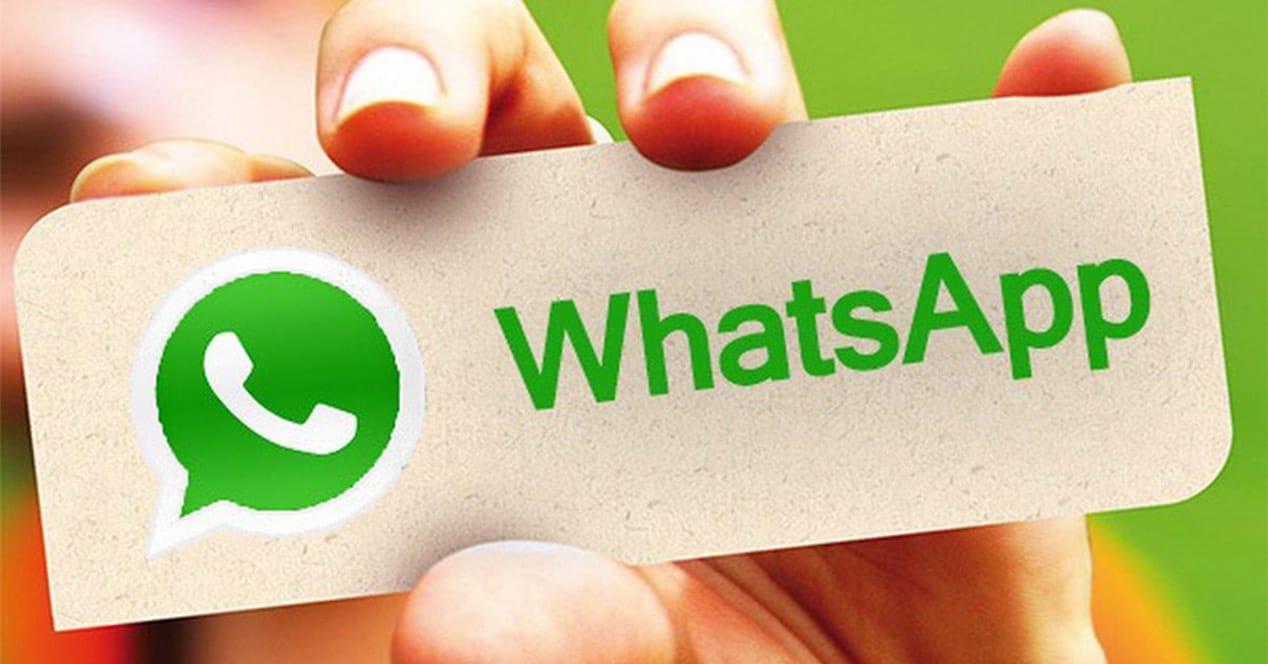 WhatsApp为什么加不了好友？