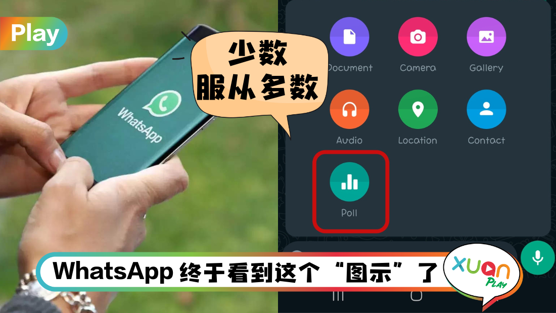 怎样在WhatsApp做投票？